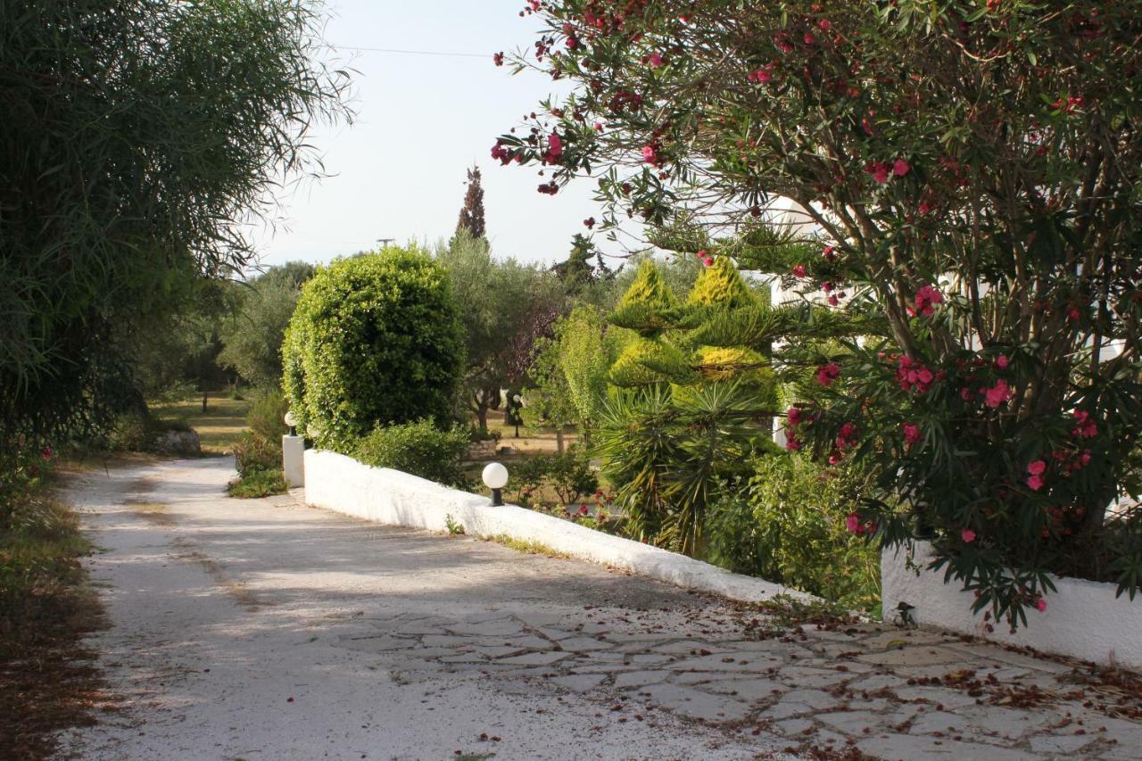 Rodis Studios Tsilivi  Dış mekan fotoğraf